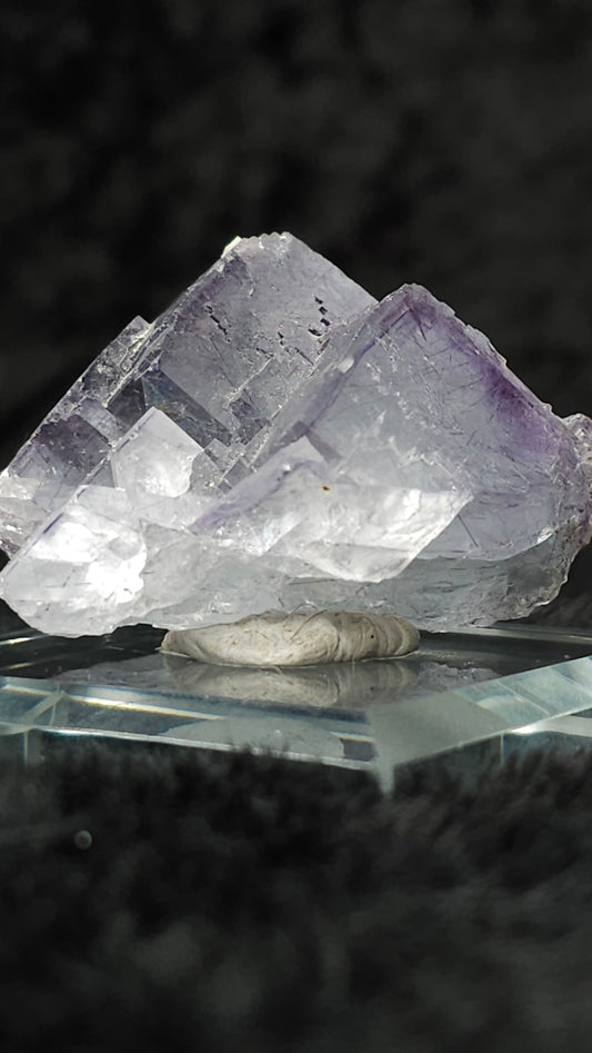 Ygx Fluorite 5